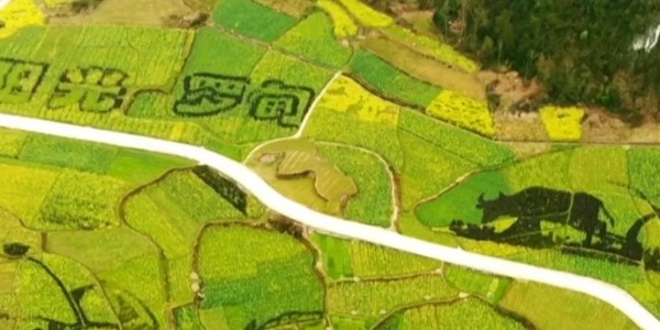 土地的涅槃｜全域土地綜合整治為何爆火？設計院如何搶占風口？